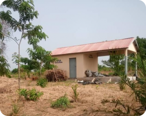 Notre salle EFIDO avec les trognes et la 1ère récolte de bois 