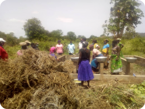 Couches végétales et animales (excréments) alternent dans le bac pour former le compost.