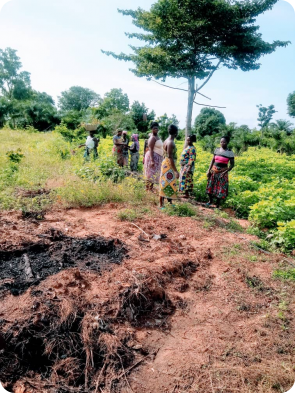 Sur la photo, on peut voir le charbon de bois qui va être mélangé à la terre autour des arbustes. Ainsi se formera une sorte de terra preta, très fertile.