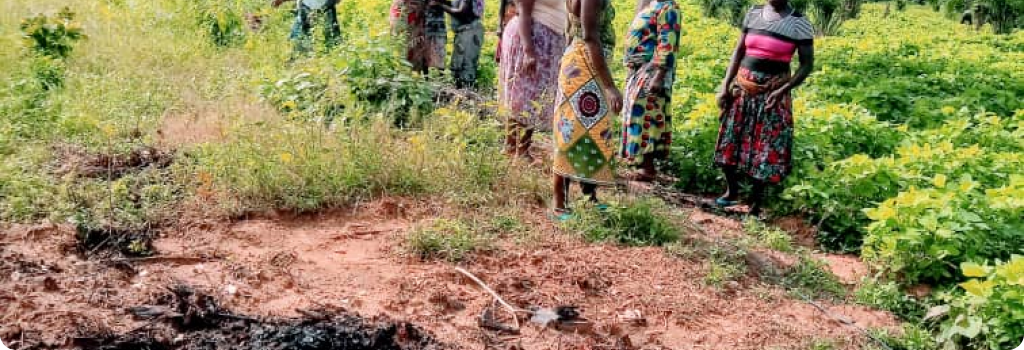 Sur la photo, on peut voir le charbon de bois qui va être mélangé à la terre autour des arbustes. Ainsi se formera une sorte de terra preta, très fertile.