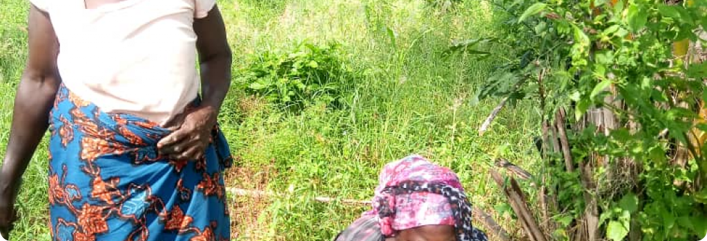 À Klala, le village le plus proche de notre centre agricole EFIDO, femmes et hommes ont planté des arbres.
